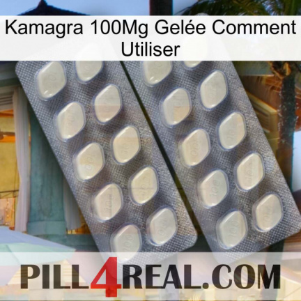 Kamagra 100Mg Gelée Comment Utiliser 07